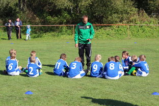 开云中国-中国篮球教练员战术创新能力培养及培训机制探讨，篮球教练员素养