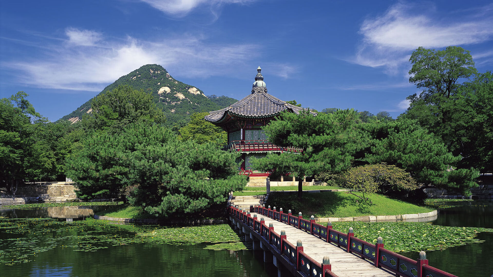 中国篮球教练员战术执行力提升研究，篮球教练技能展示