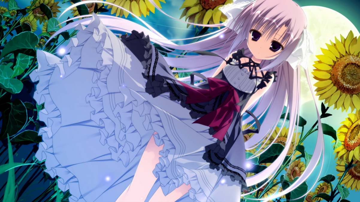 中国篮球教练员战术执行力提升策略研究，篮球教练技术