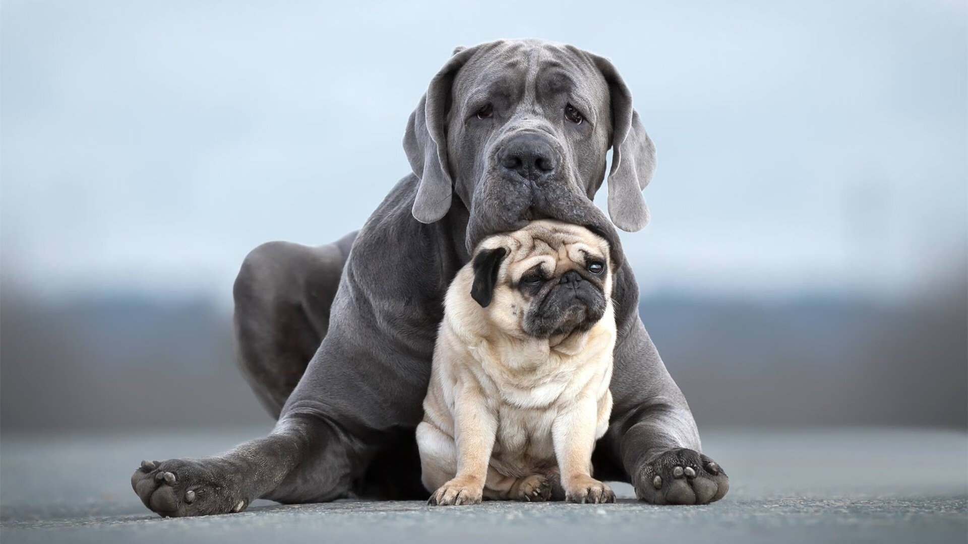 全国青少年趣味排球赛在南京火热展开，2020年青少年排球比赛