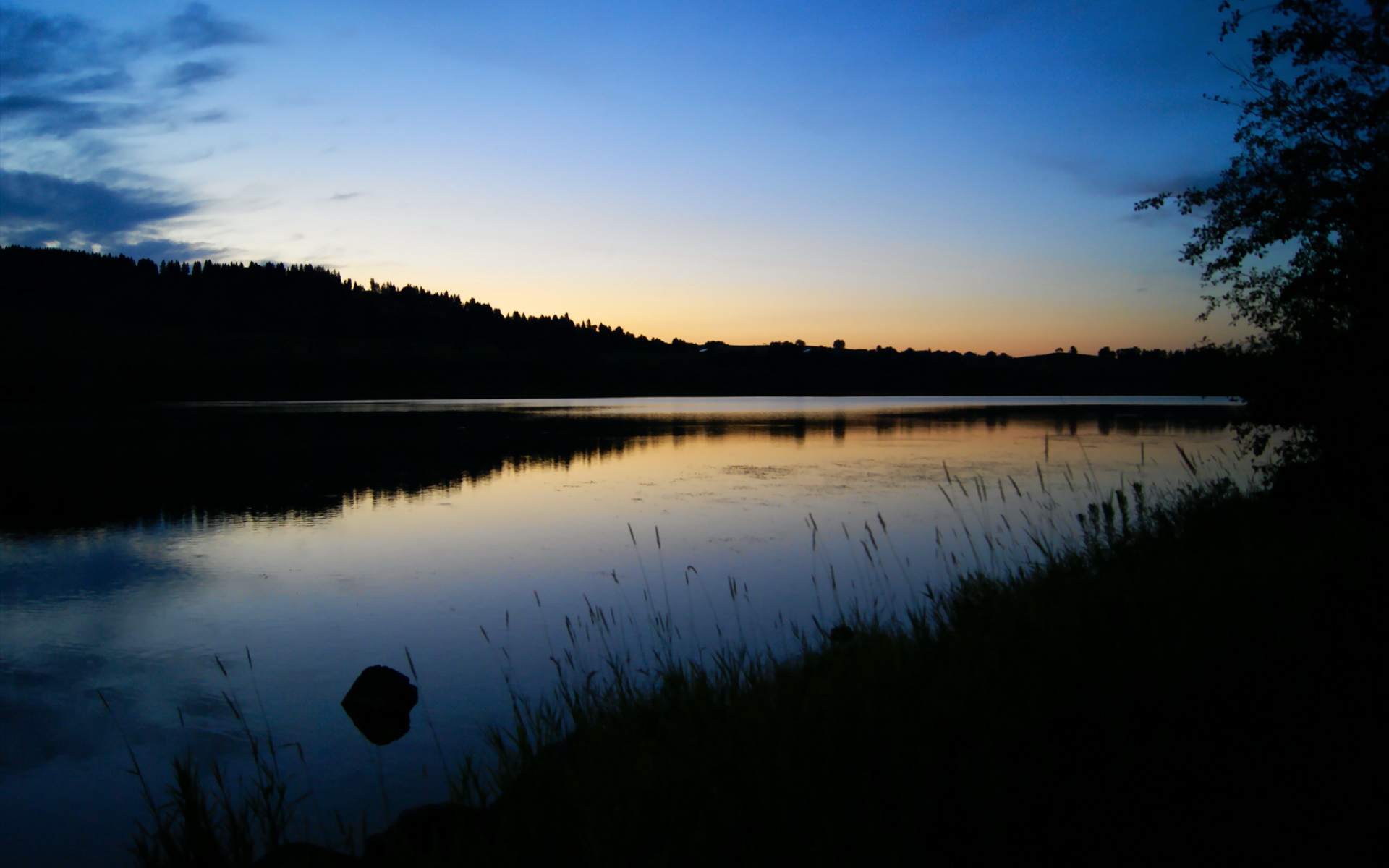 校园体育活动对学生心理健康促进作用研究,体育活动对大学生心理健康的影响