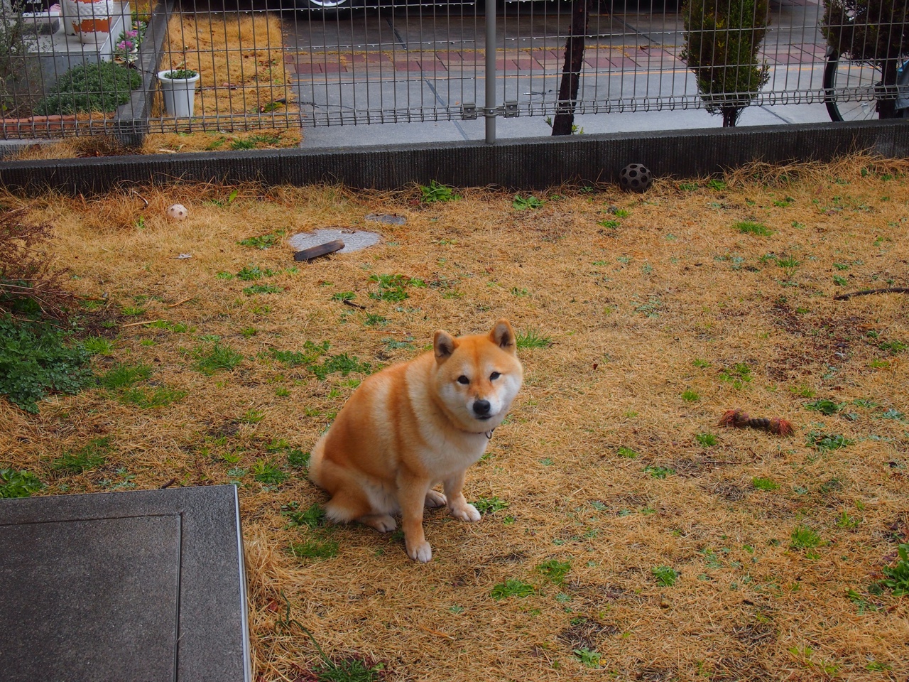 法甲青训中通过沉浸式认知训练提升比赛解读能力的探索