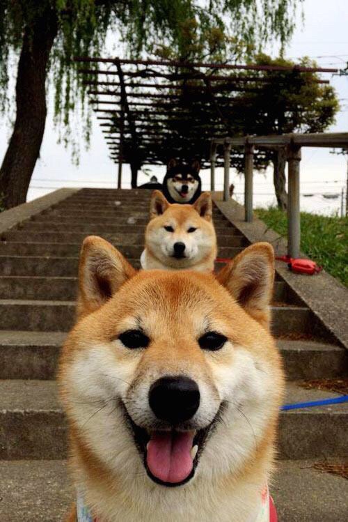 “香港足球盛会:阿仙奴与热刺的决胜时刻”