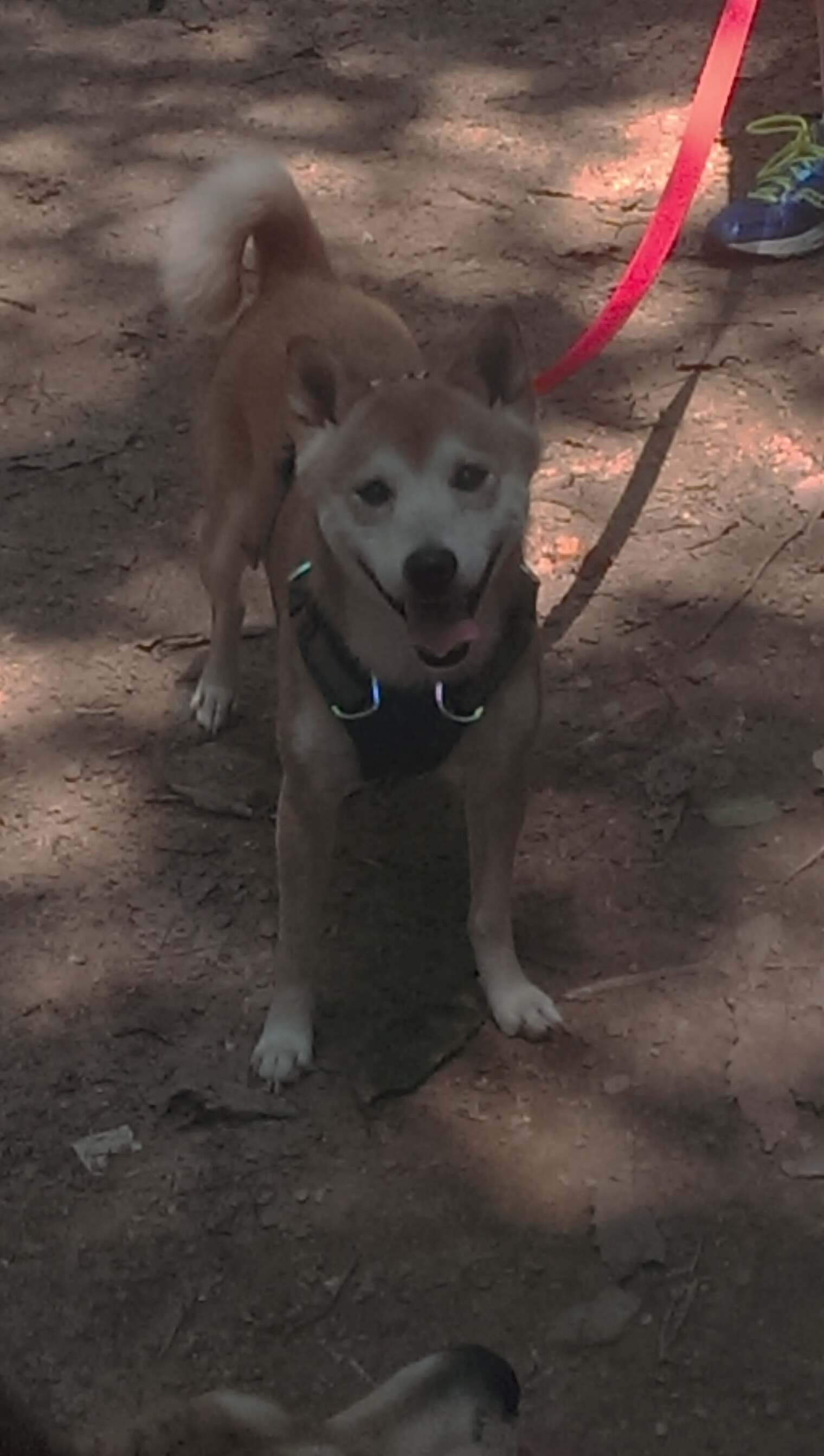 开云·Kaiyun网页版-中国足球复仇世界杯 精彩瞬间引热议，中国足球冲击世界杯各年总结