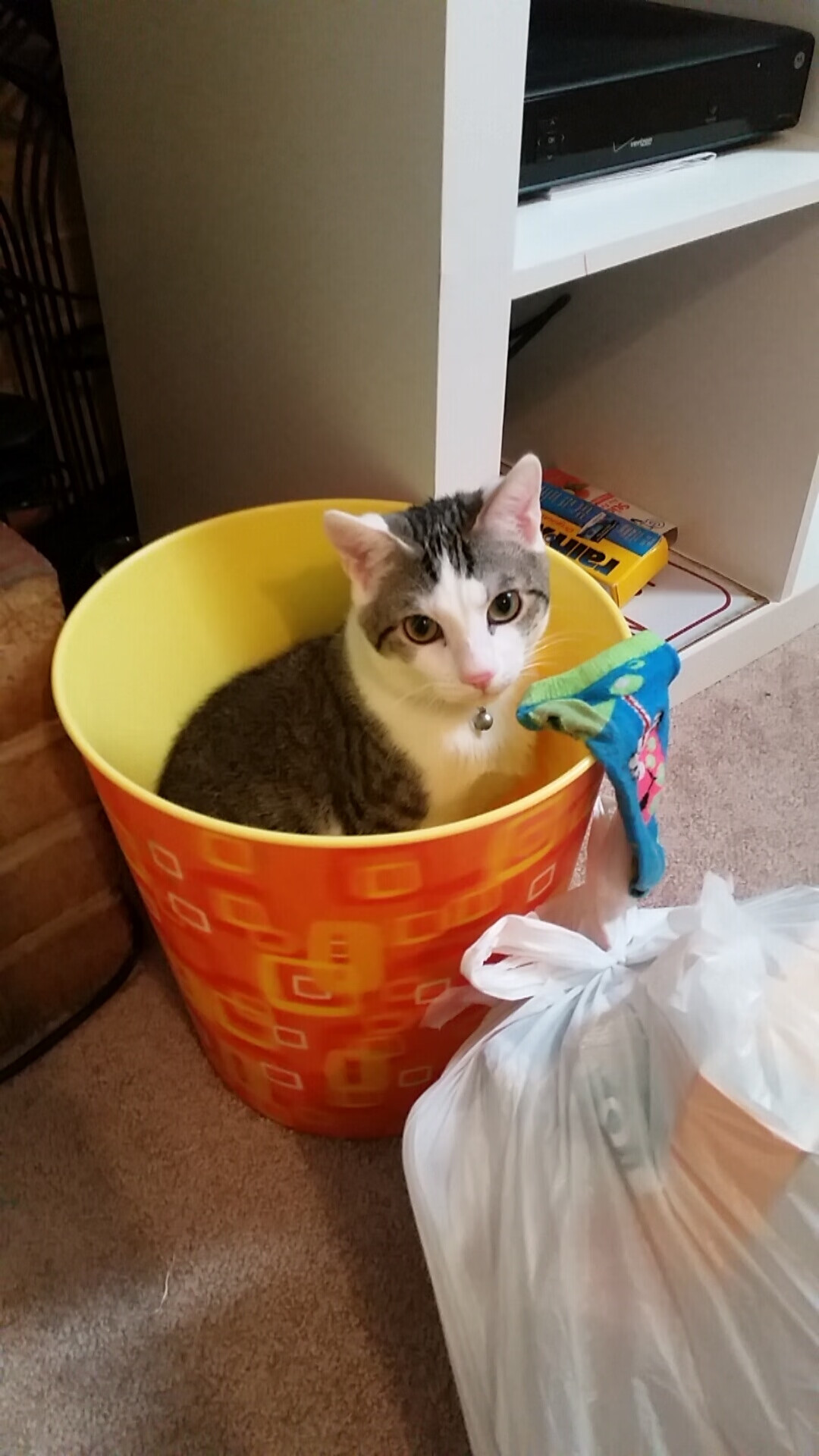 开云平台-五大联赛是否出现双中场核心互换持球节奏趋势，五大联赛中场休息多久