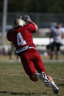 kaiyun网站-五大联赛最具统治力的球队如何打造，五大联赛良心球队