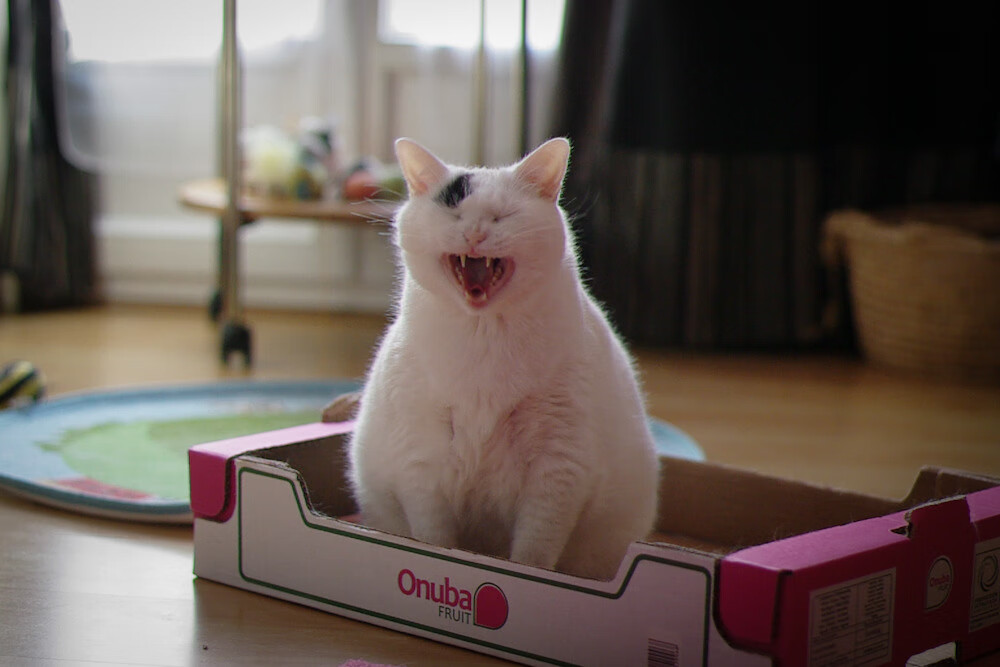 体育新闻中心发布体育短视频运营风险监测手段建议,如何创意体育类短视频