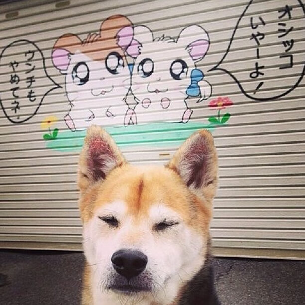 体育新闻中心深化体育视频内容智能生成研究，如何创新体育短视频