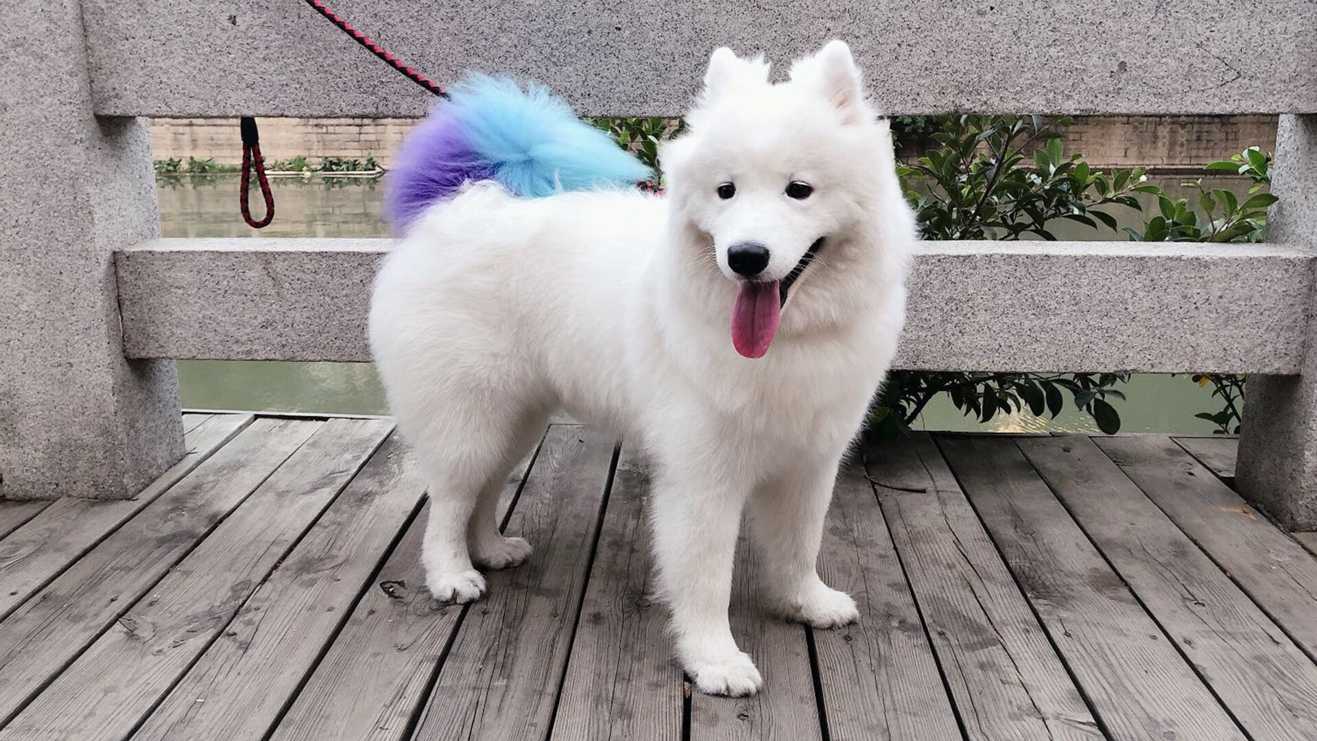 切尔西球员纪律严明，无红黄牌困扰，切尔西球员大全