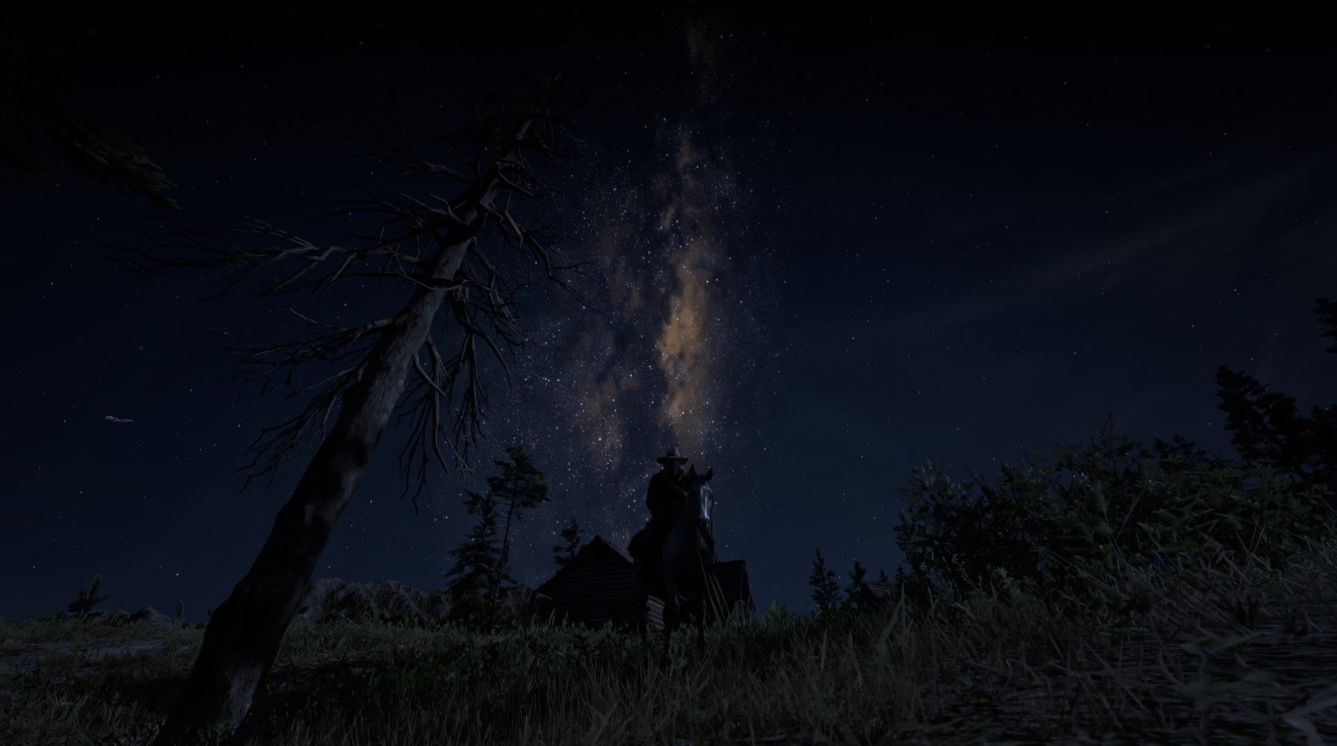 女子蛙泳项目稳中有升,女子蛙泳视频