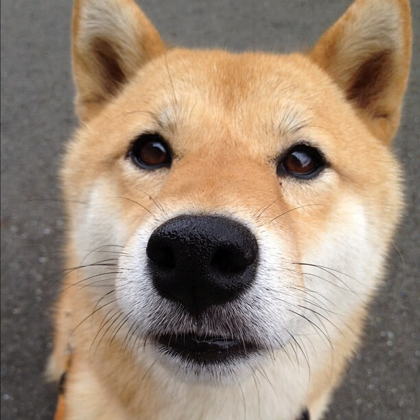 开云·Kaiyun网页版-跳绳世界杯中国队包揽团体项目冠军，跳绳世锦赛冠军