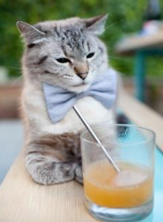 开云官方网页登录-中国足球职业俱乐部参与社区足球节活动，基层足球协会组织机构