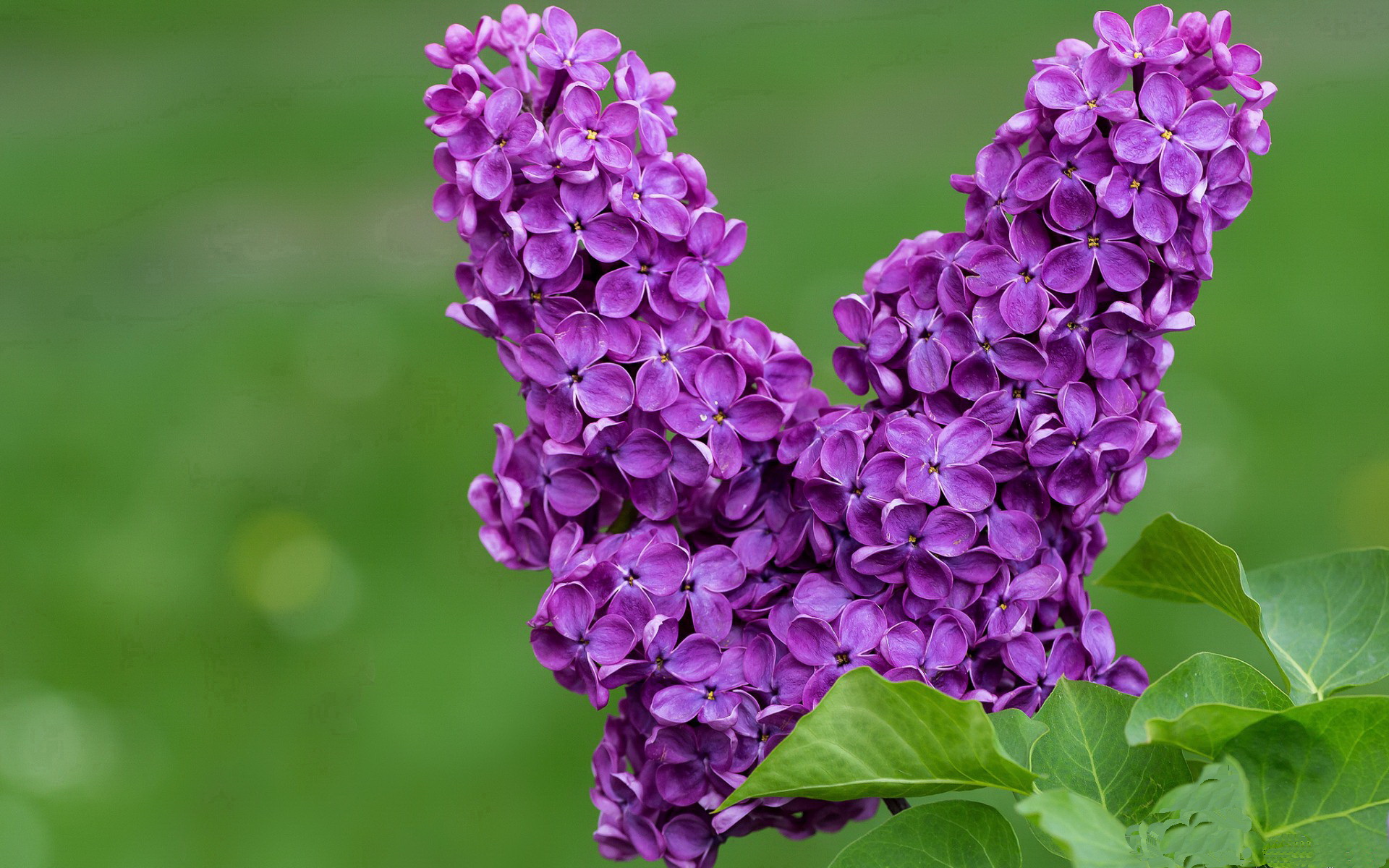 水球终场绝杀摩纳哥逆转取胜，水球终场绝杀摩纳哥逆转取胜是哪一集