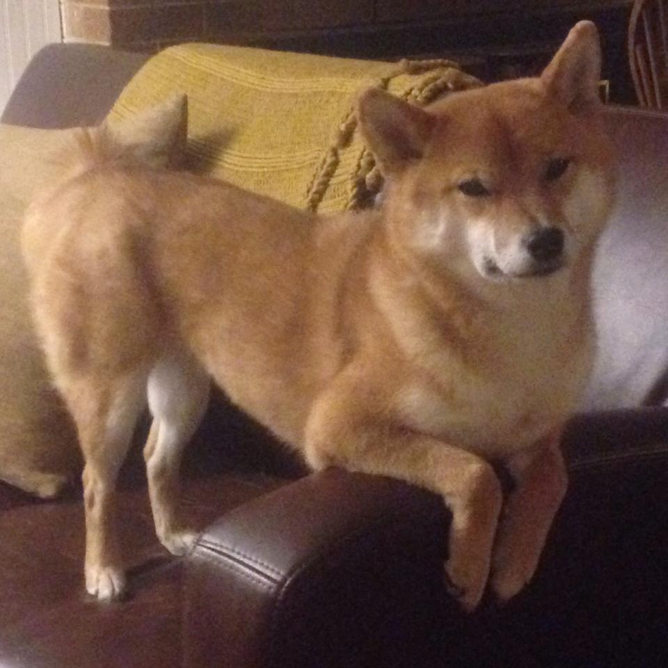 网球青少年赛事聚焦，2020青少年网球比赛赛程有哪些