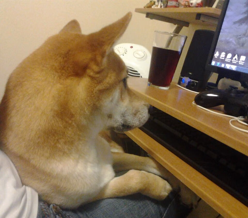 西甲极速反击：速度、力量、技巧的完美结合！，西甲联赛直播极速体育