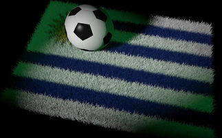 开云中国-中国足球国家队备战东亚杯积极备战，中国队东亚杯名单